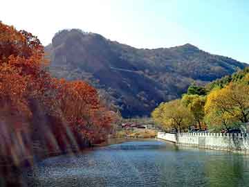 新澳天天开奖资料大全旅游团，火山石产地